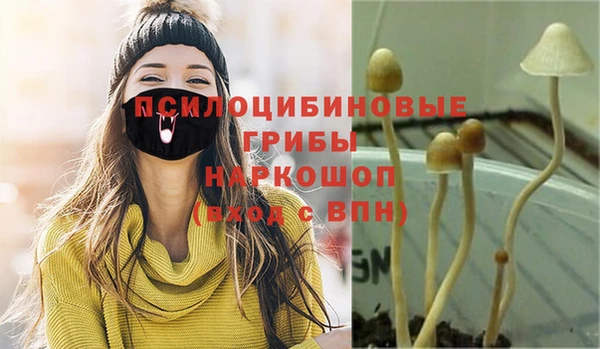 дурь Абинск
