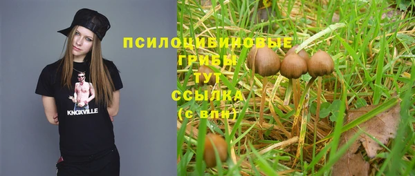 COCAINE Абаза