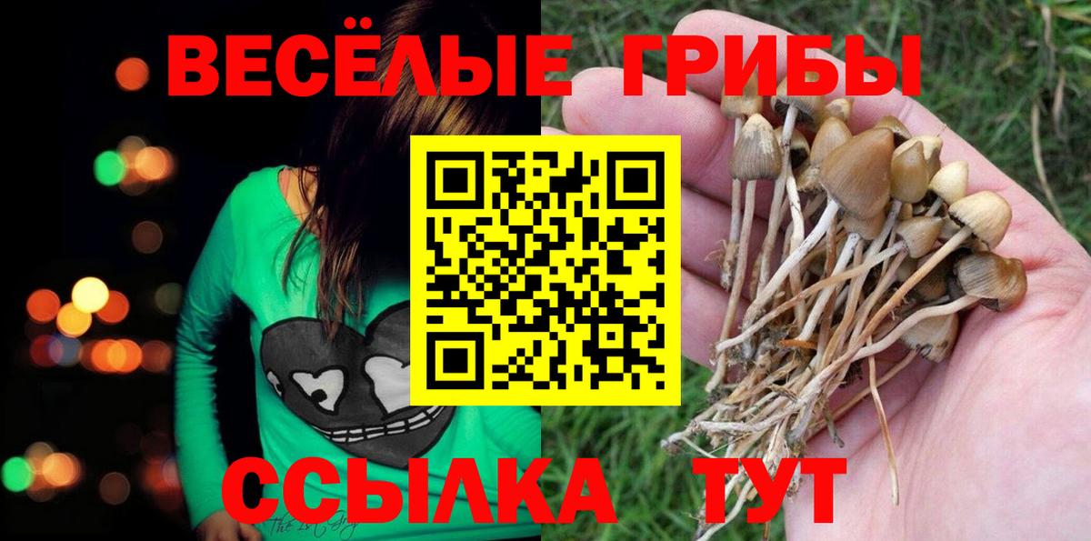 Назрань  Псилоцибиновые грибы Magic Shrooms  Вход с VPN 